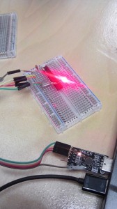 An Arduino Shrimp